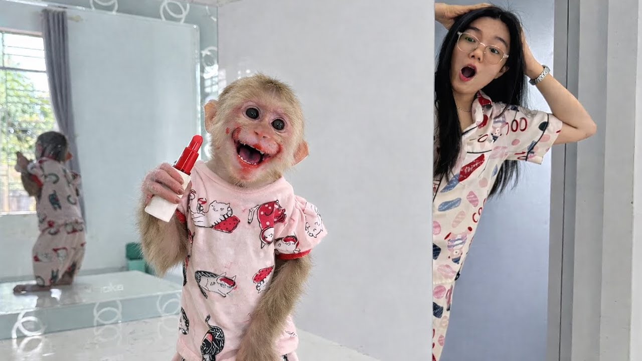 Funny Moment! Monkey Kyo Playfully Uses Ngan’s Lipstick for Makeup 💄😂