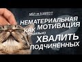 НЕМАТЕРИАЛЬНАЯ МОТИВАЦИЯ - Как правильно хвалить подчинённых?