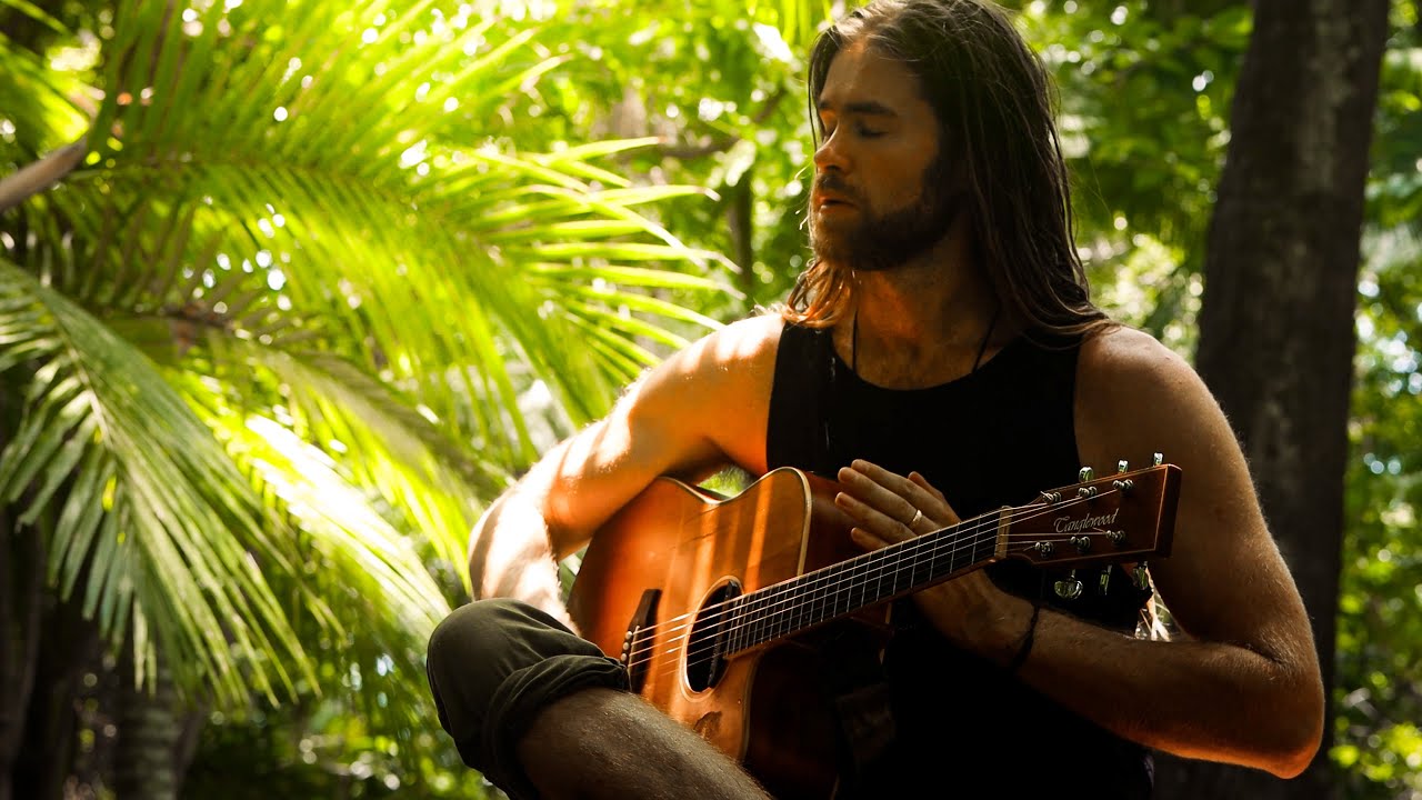 Movement   James R Thomas Official Music Video   A Journey into the Daintree Rainforest