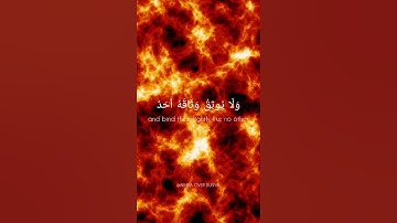 سوره مبارکه فجر | تلاوت قرآن بسیار احساسی