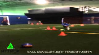Skill Development Program (SDP)