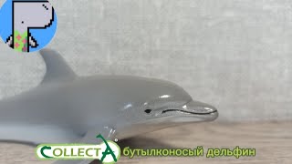 Обзор collecta бутылконосый дельфин