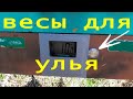 Весы для улья с кнопкой за 500 рублей!!