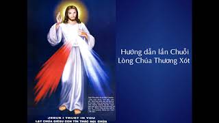 Hướng dẫn lần chuỗi Lòng Chúa Thương Xót - Cha Giuse Trần Đình Long