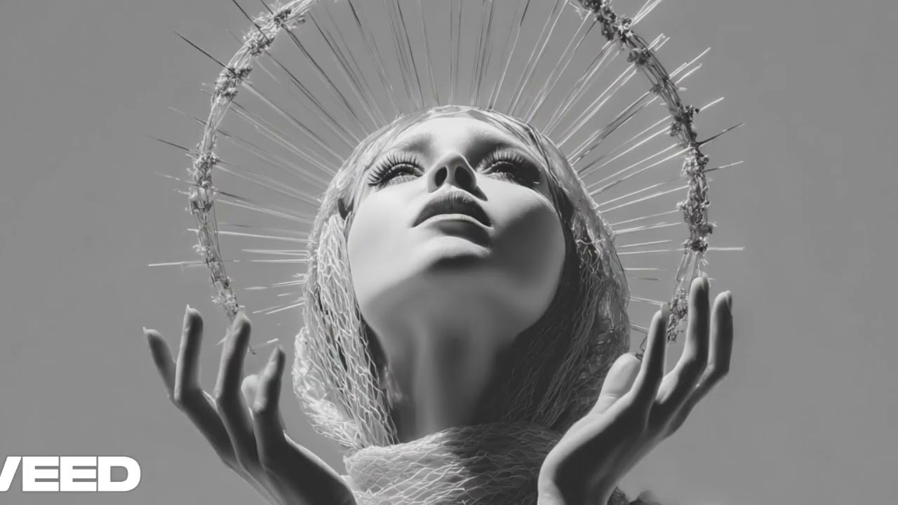 Show me the Way (Stonks EDM Remix)