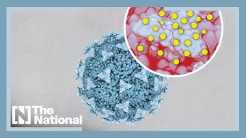 What is Omicron and how worried should we be about the new Covid variant?