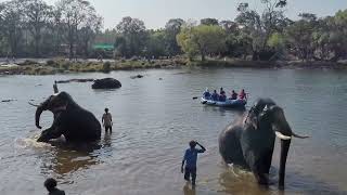 Dubare Elephant Camp #elephant bath