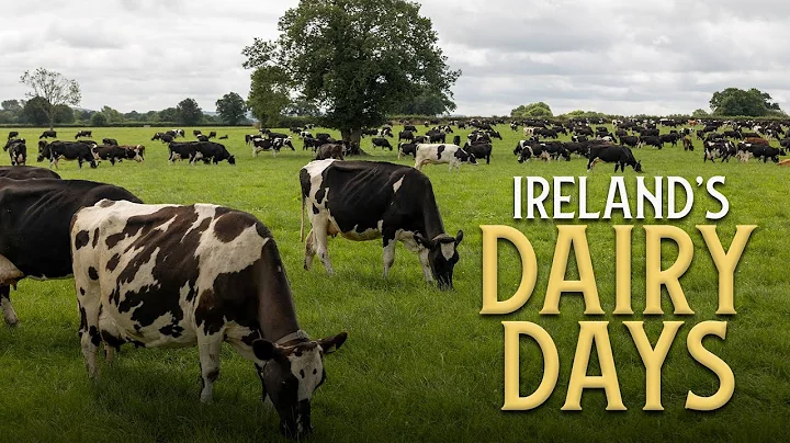 Ireland’s Dairy Industry