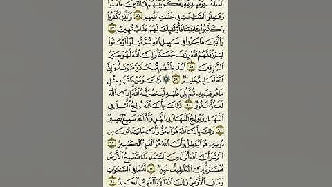 سورة الحج من الآية ٥٦ إلى الآية ٦٤بصوت القارئ ماهر المعيقلي