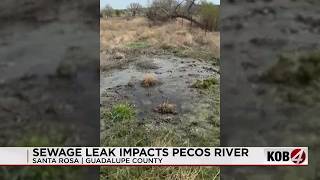 Santa Rosa prison sewage spill sends waste into Pecos River