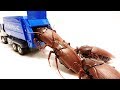 Giant Monster Insects Go into the Garbage truck toy Green Power Ranger drives はたらくくるま ゴミ収集車 すぽすぽタイム