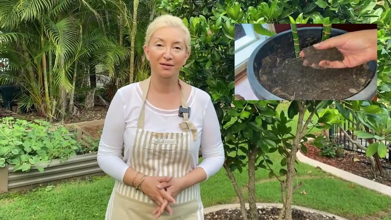 MUTFAK ARTIKLARINDAN HIZLI TOPRAK KOMPOST VE EPSOM TUZ