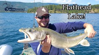 A Pile of Whitefish and Joe's Best Lake Trout!