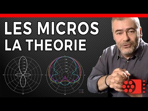Vidéo: Quel est un exemple de Micro ?