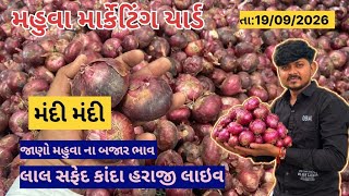 લાલ સફેદ કાંદા હરાજી લાઇવ મહુવા યાર્ડ || બજાર મા મંદી 🥺 || APMC MAHUVA || 19/09/2026 ||  screenshot 2