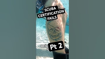 How to get Scuba Certified & become a diver 🤿✅ #scubadiving #dive #scubacourses