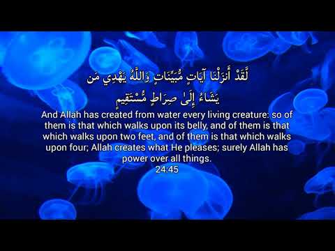 HD Beautiful Quran Surah Noor Ibrahim Jibreen Full Arabic English Translation إبراهيم جبرين سورة نور