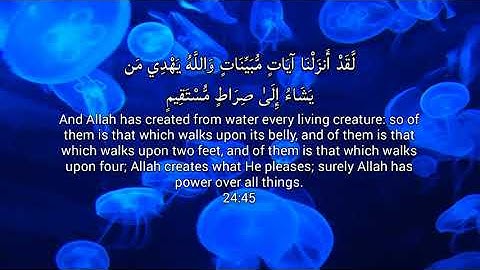 HD Beautiful Quran Surah Noor Ibrahim Jibreen full Arabic English Translation إبراهيم جبرين سورة نور