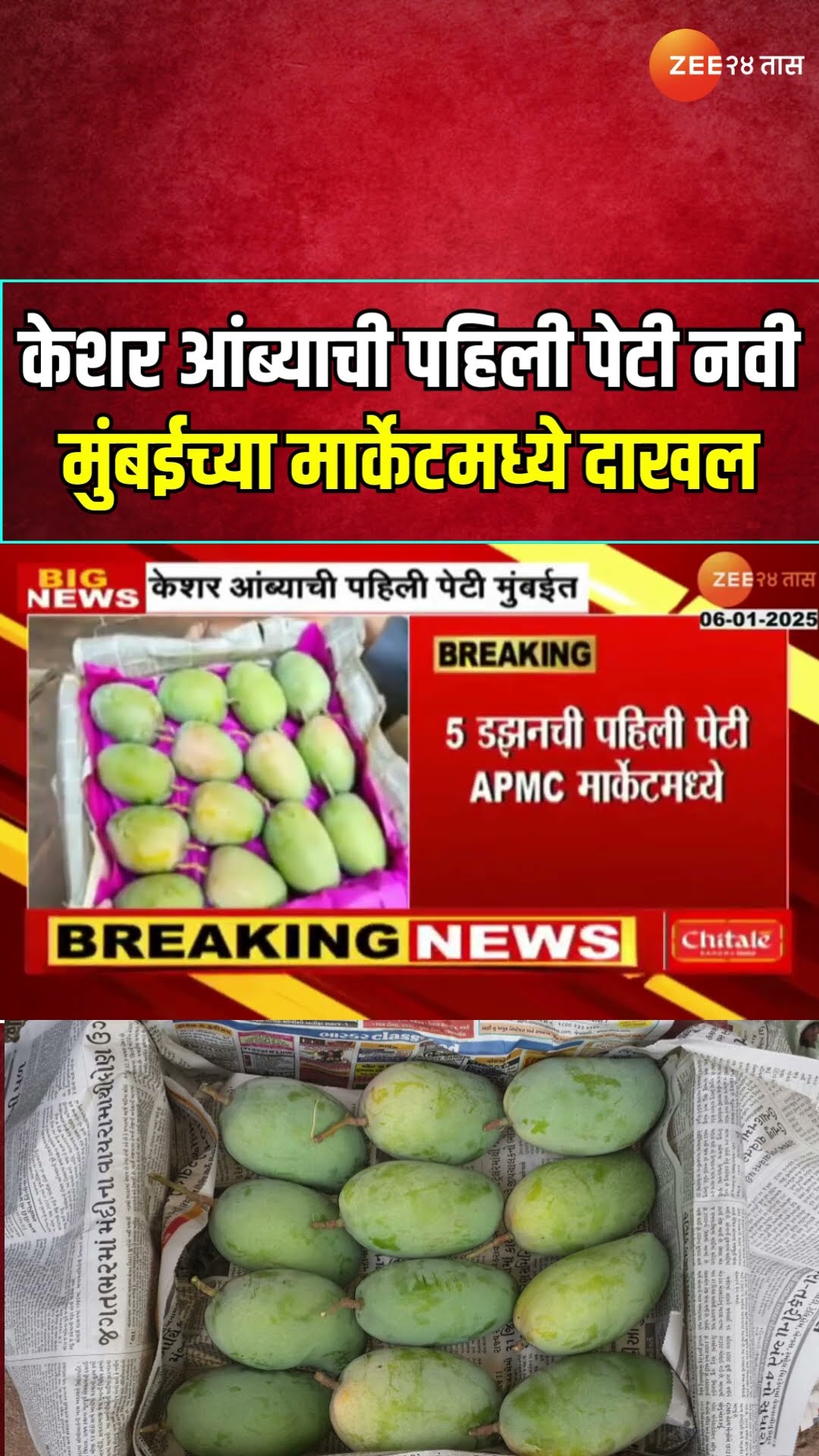 Kokan Kesar Mango First Box AT APMC मोसमाती केशर आंब्याची पहिली पेटी नवी मुंबईच्या मार्केटमध्ये दाखल