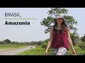 Viaje a la Amazonia Brasileña - Turismo Brasil 2014