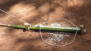 make easy bird trap in the forest using bamboo to catch the bird