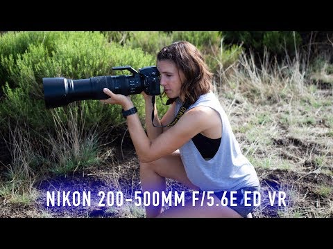 Ludicrous Telephoto Nikon 200-500mm f/5.6E VR Review -
