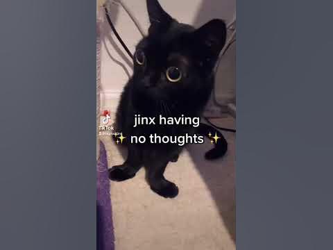 jinx still has no thoughts - YouTube