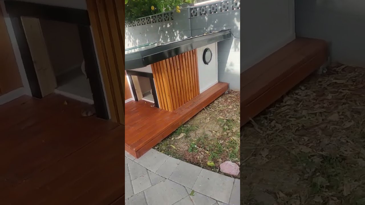 Built This Dog House 