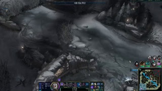 콩콩이 말자하 vs 조이