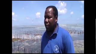 Farm Africa's Seaweed farming project in Zanzibar, Tanzania