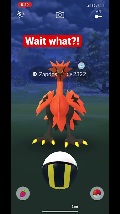 Rena✨ on X: [ESPECULACIÓN] Shiny Moltres de Galar! No sé vosotros pero a  mí me FLIPARIA si gamefreak lo pusiera así 😍  / X