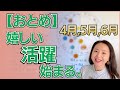 【おとめ座】想像以上のスケールへ！経済が動き出し、自由な大冒険が始まる3ヶ月🌪️✨嬉しいチャンスと仲間の輪／星読みでみる4月,5月,6月の運勢と意識してほしいこと