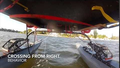 Adaptive Sampling Based COLREGs-Compliant Target Following for Autonomous Surface Vehicles