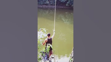 câu cá rô phi hồ siêu phê