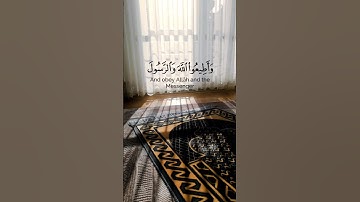 تلاوة عطرة من سورة ال عمران