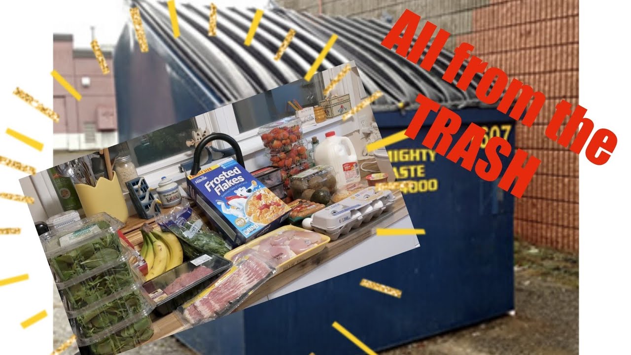 TONS of FREE FOOD from the Aldi Trash! Dumpster Diving for Groceries