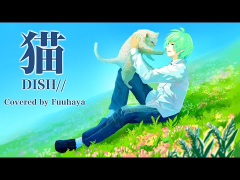 猫 -DISH//歌ってみた【ふうはや】