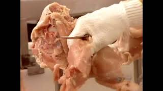 How It's Made S03E12   Electric Baseboard Heaters; Moulded Pulp Containers; Chicken; Video Games