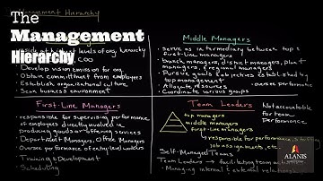 The Management Hierarchy: A Look Into the Different Levels of Management