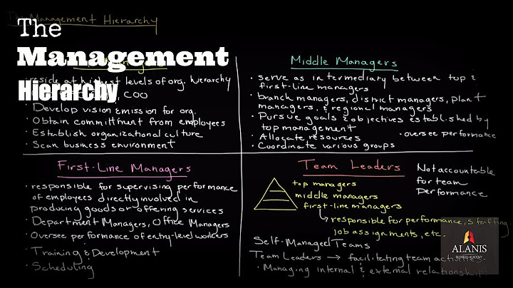 The Management Hierarchy: A Look Into the Different Levels of Management
