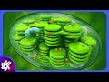 Chloroplasts Unveiled The Powerhouses of Plant Cells