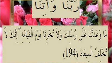 القران الكريم سورة آل عمران الأية 194