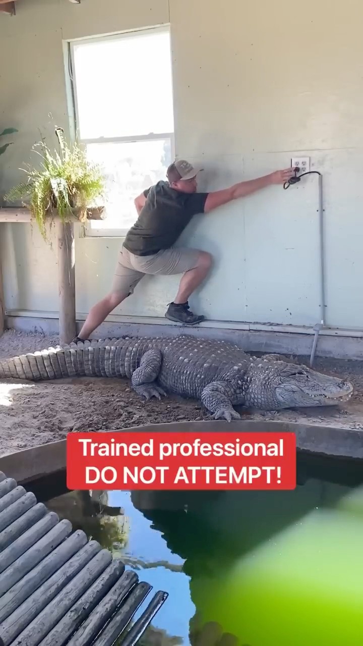 #JasonDeruloTV // Alligator ? #GotPermissionToPost From @corbinmaxey #SlowLow
