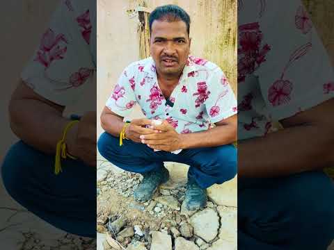 Bayko Is A Very Beautiful Girl 