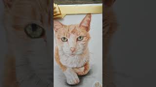 Az utolsó simítások. Indulhat a megrendelőhöz. ☺️🐾 #drawing #rajz #macska #cica #cat #catportrait