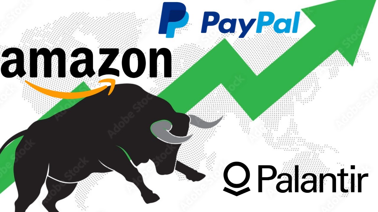 First Portfolio Update Amazon, Paypal, Palantir and More YouTube