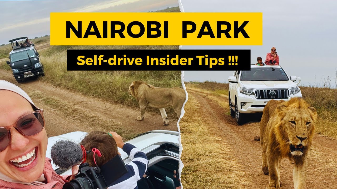 Self Drive Nairobi National Park - A raw honest Kenya Travel Vlog