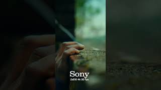 cinematic video .. review of sony camera zvE10 #edit #photography #colourgrading #viral