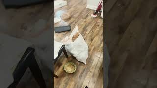 Damage new home leaking water from unknown source #leaked #kids #waterful #mywatermark #water