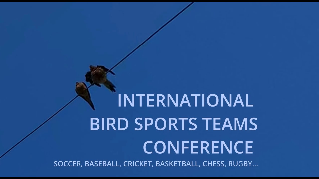 BIRDS SPORTS TEAMS CONFERENCE YouTube